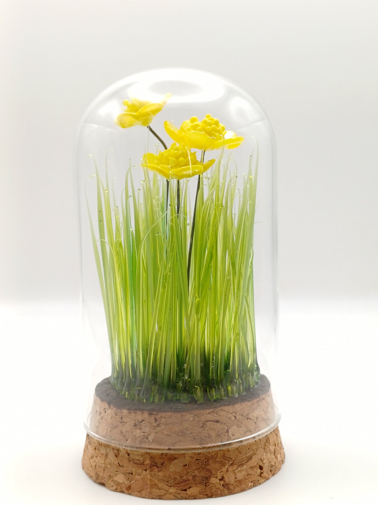 Echantillon de jardin