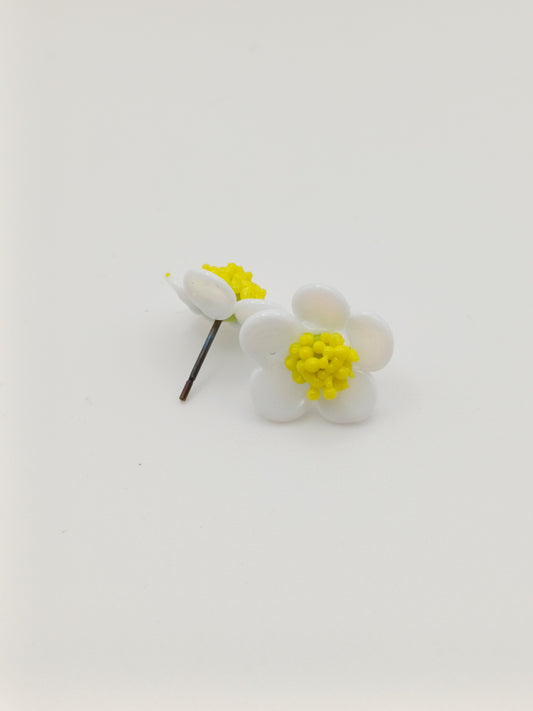 Petites puces d'oreille