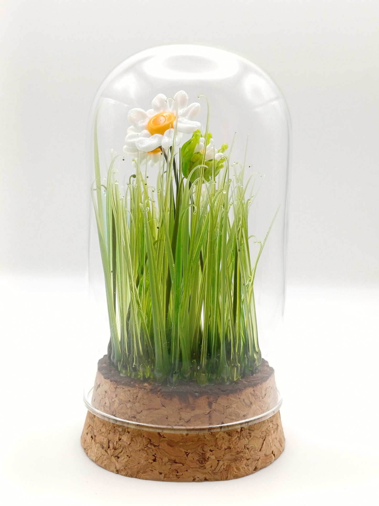 Echantillon de jardin