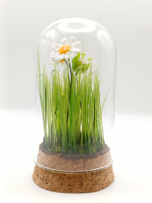 Echantillon de jardin