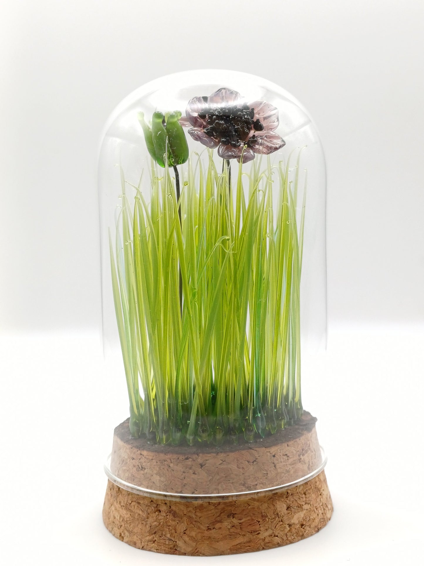 Echantillon de jardin