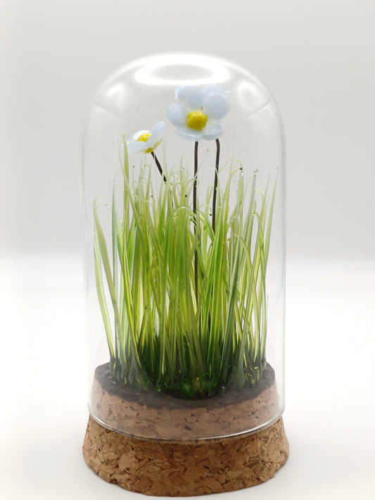 Echantillon de jardin
