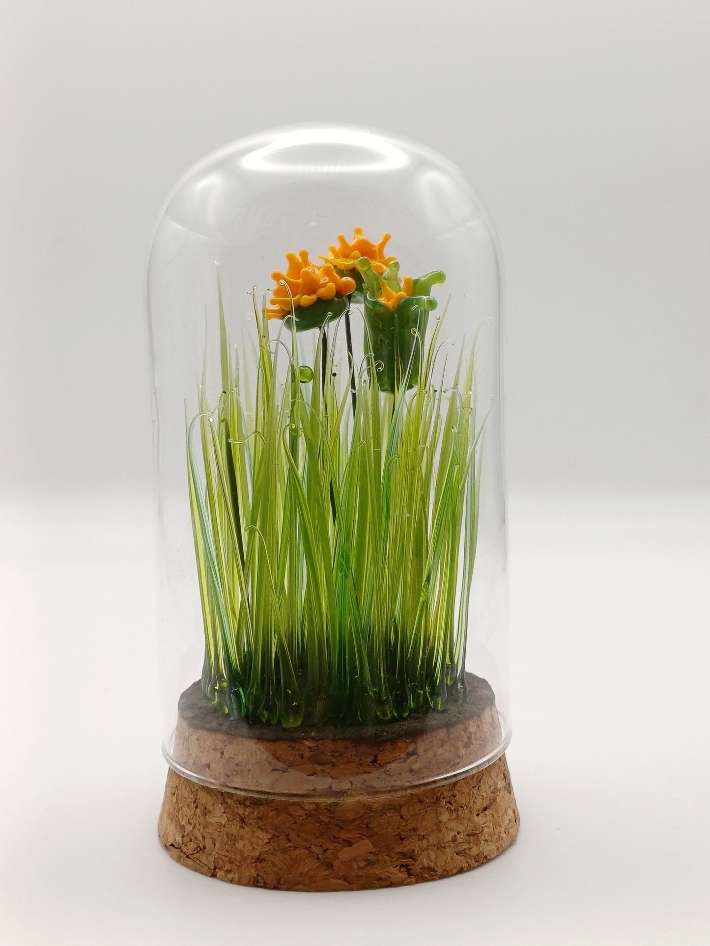 Echantillon de jardin