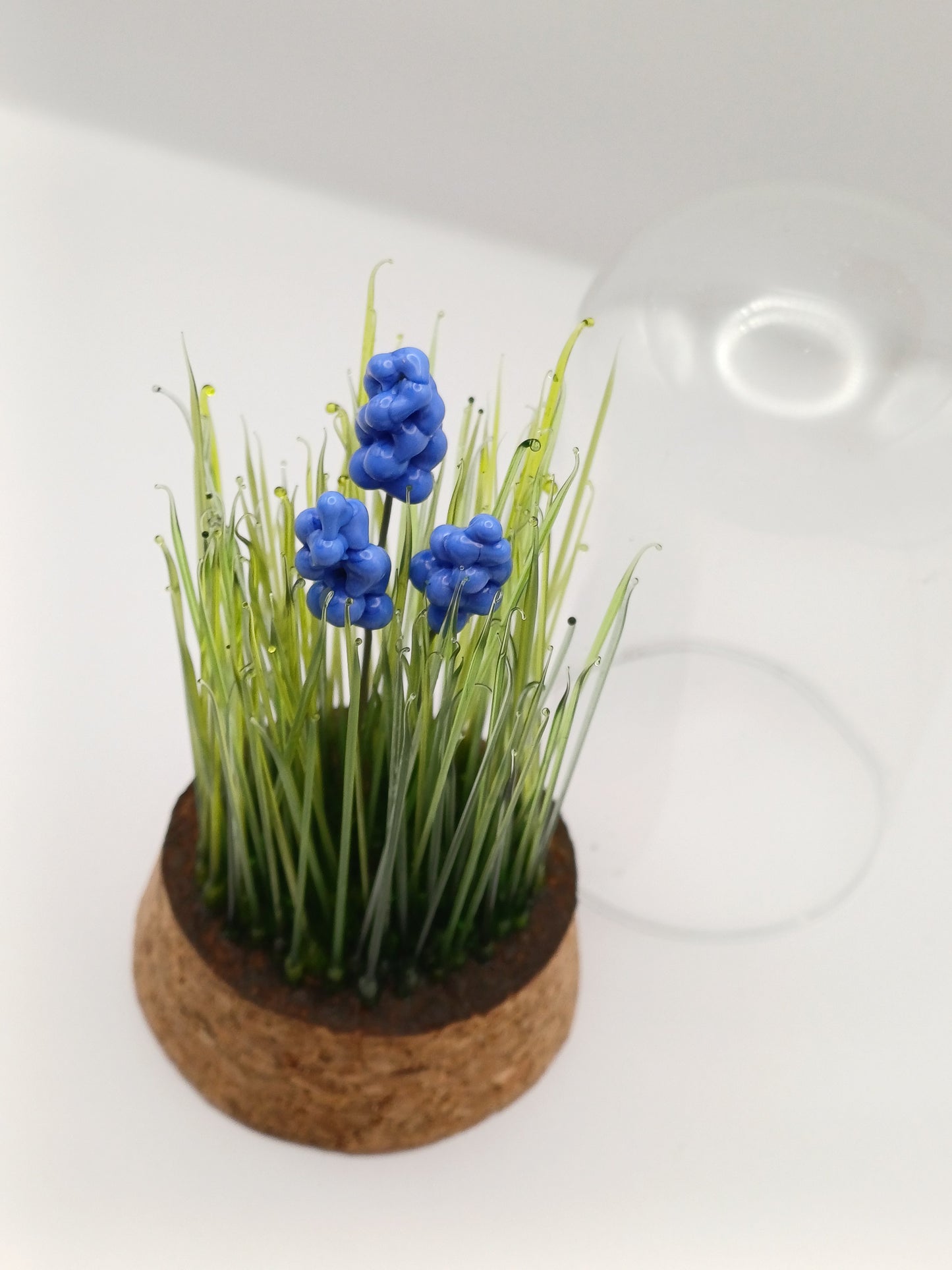 Echantillon de jardin