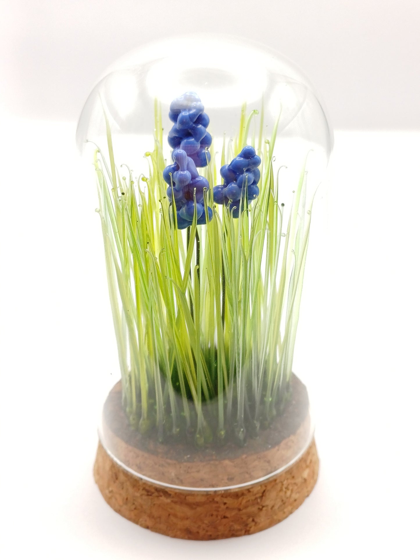 Echantillon de jardin