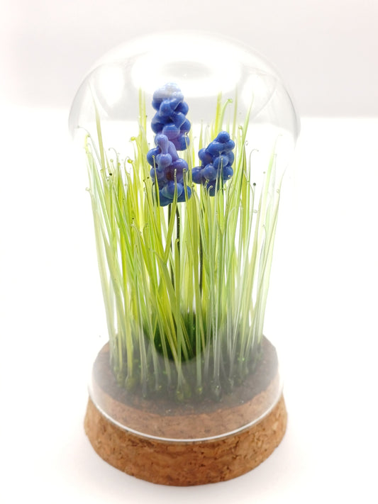 Echantillon de jardin