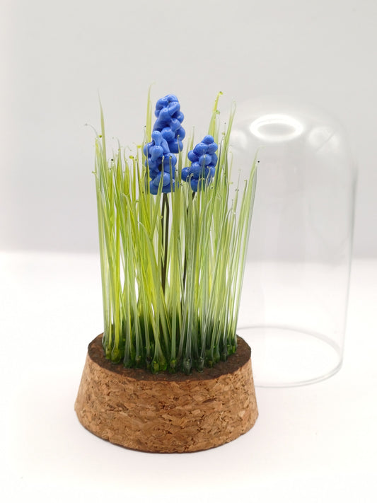 Echantillon de jardin
