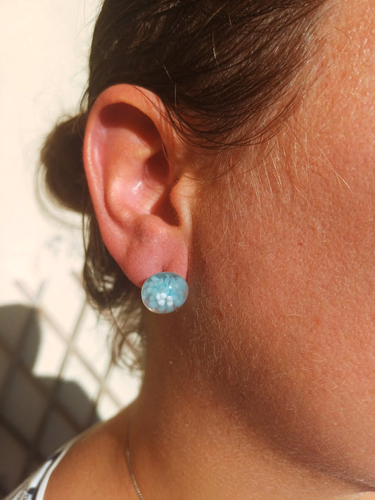 Puces d'oreille