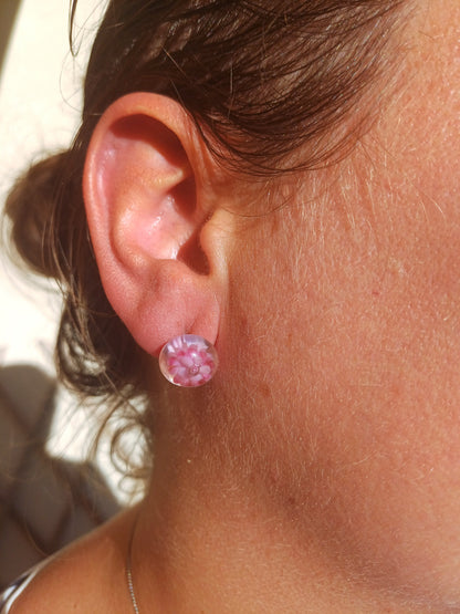 Puces d'oreille