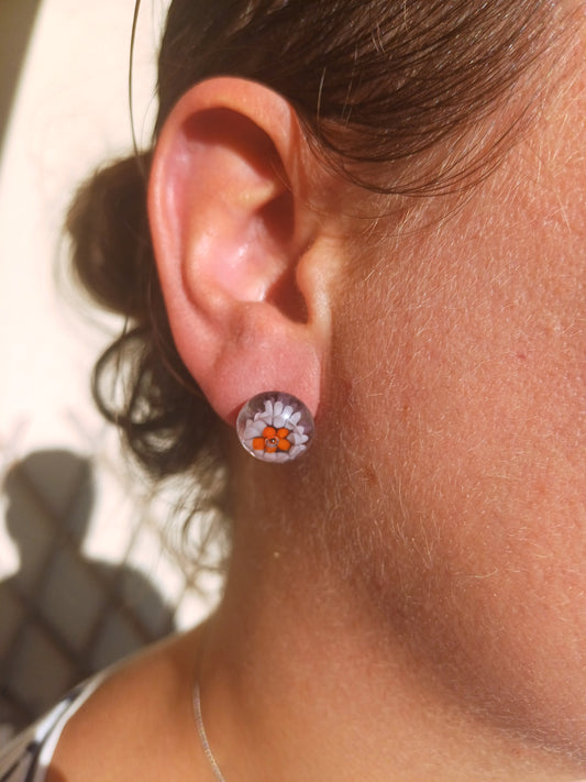 Puces d'oreille