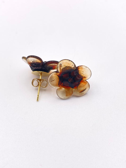 Puces d'oreille