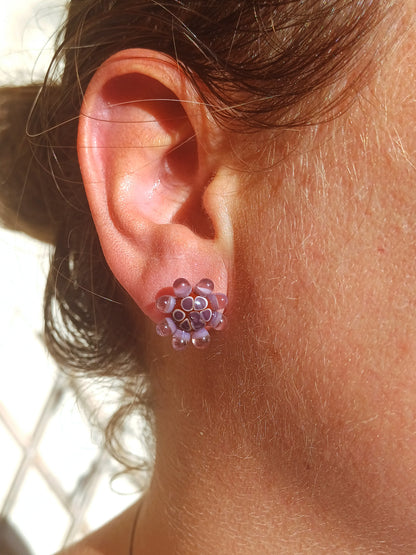 Puces d'oreille