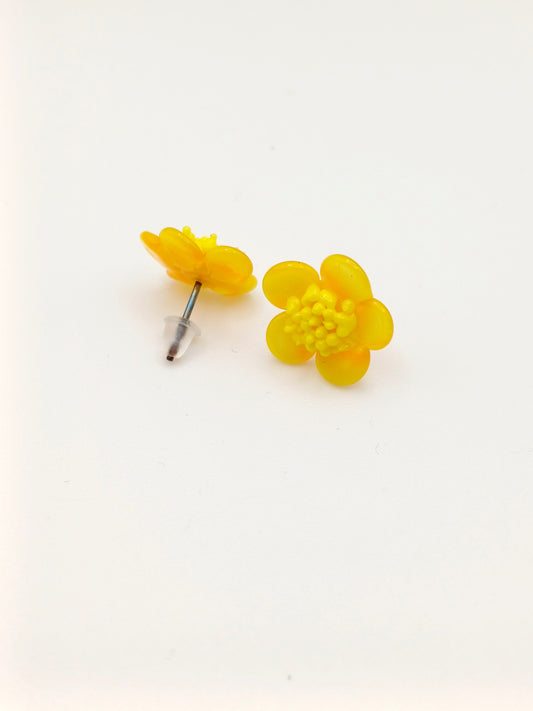 Petites puces d'oreille