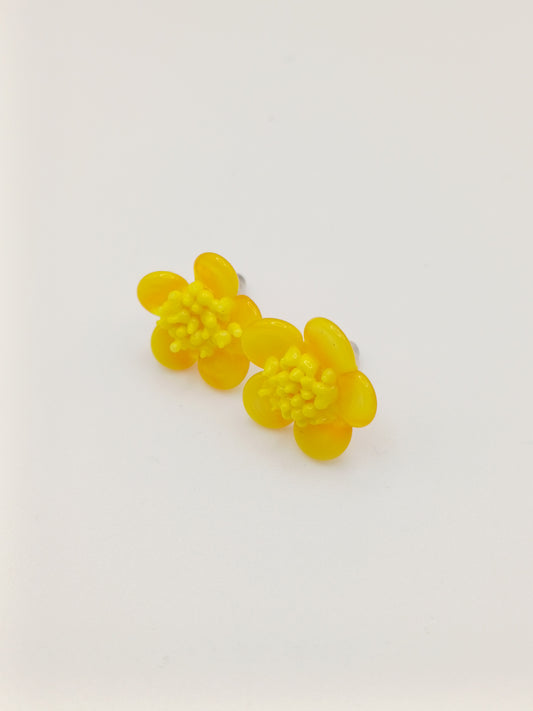 Petites puces d'oreille