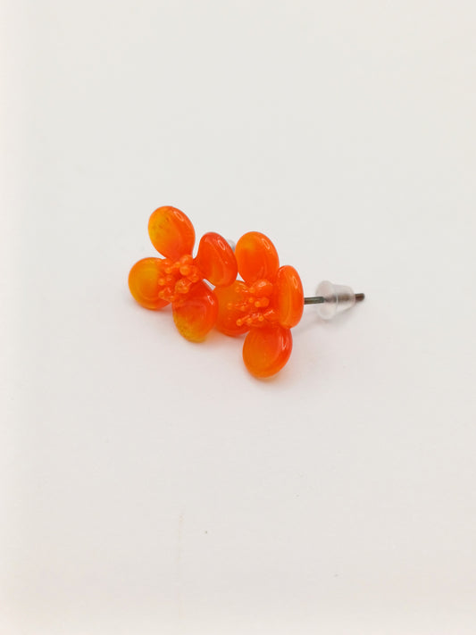 Petites puces d'oreille