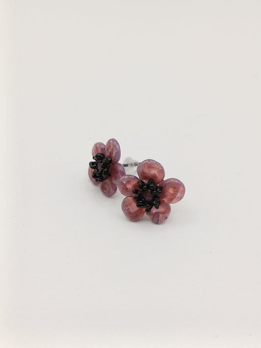 Petites puces d'oreille