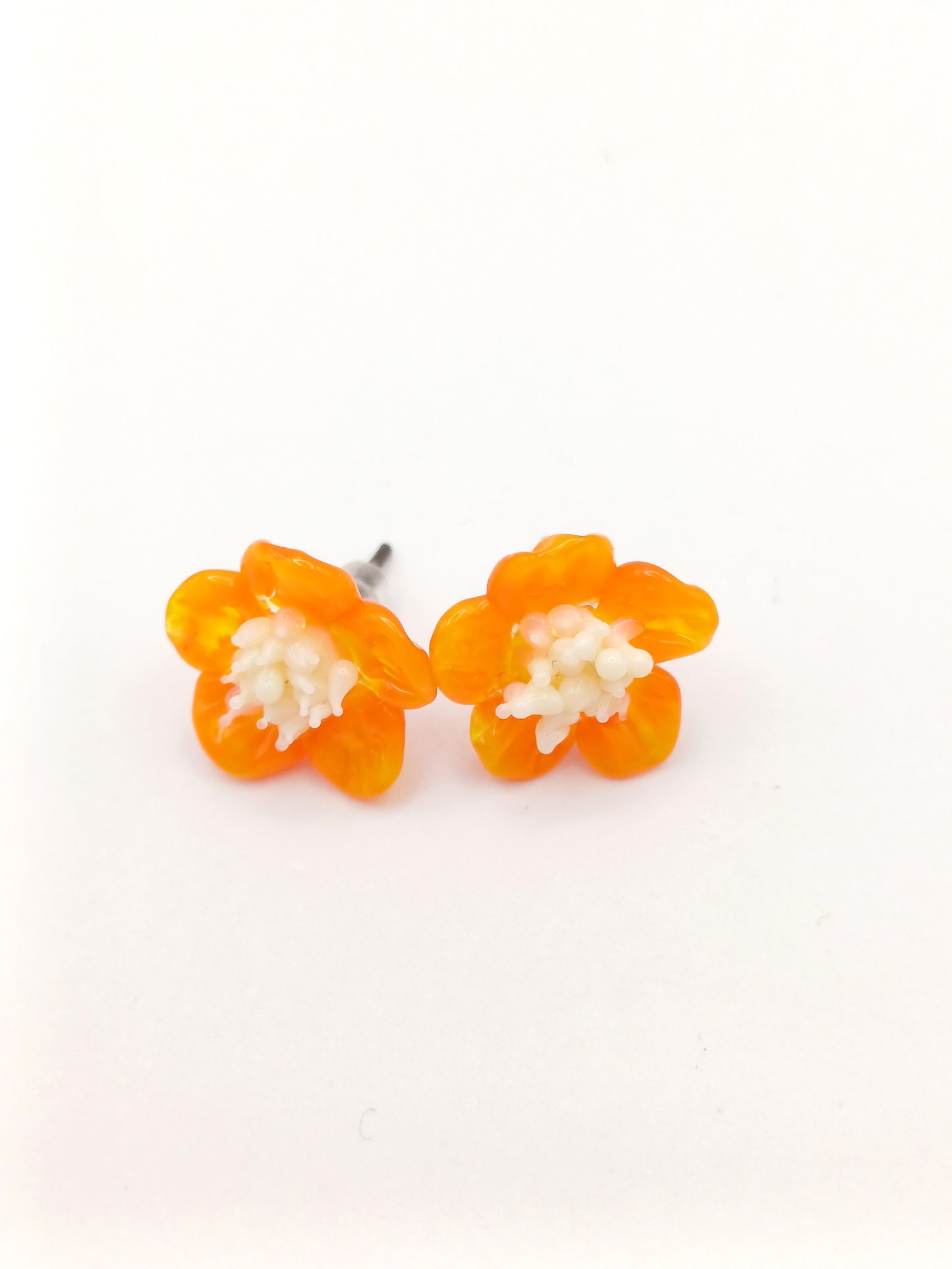 Petites puces d'oreille