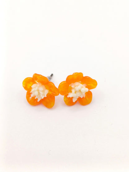 Petites puces d'oreille
