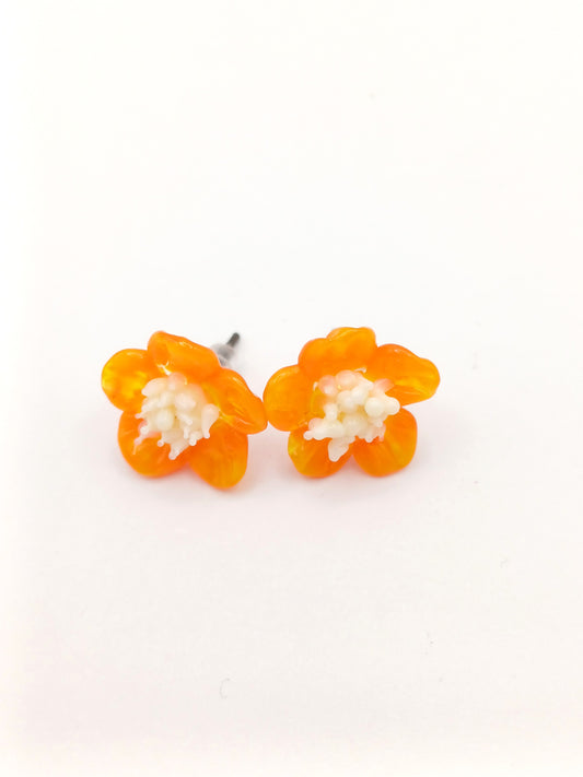 Petites puces d'oreille