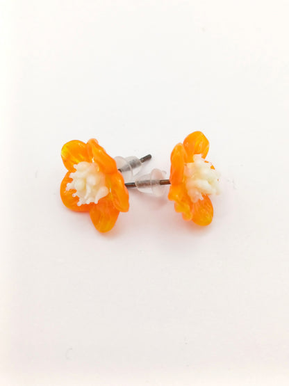 Petites puces d'oreille