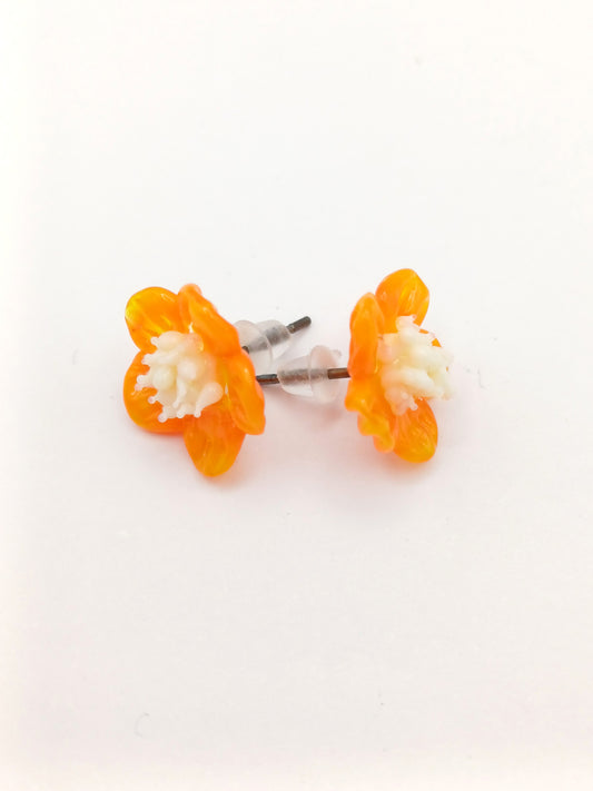 Petites puces d'oreille